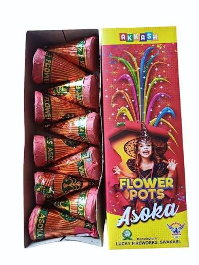 FLOWER POTS ASHOKA